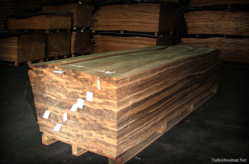 walnut veneer